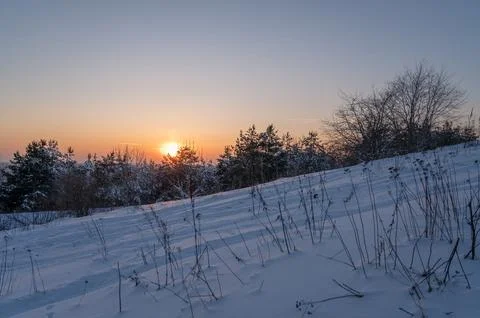 Sunset behind trees during a cold winter Stock Photos