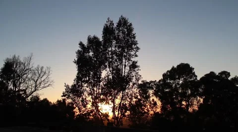 Sunset behind trees 動画素材 4271230