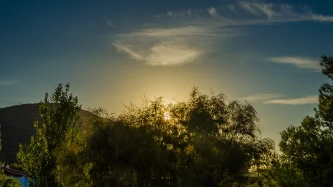 Sunset Behind Trees 스톡 동영상 100038905
