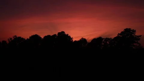Sunset Behind Trees Stock Footage 117073830