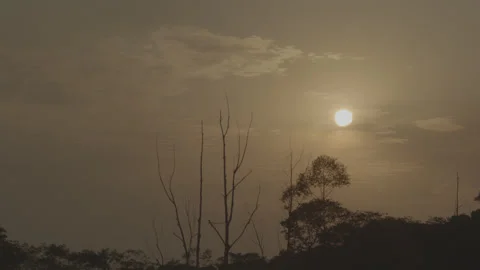 Sunset behind the trees Video stock 140881282