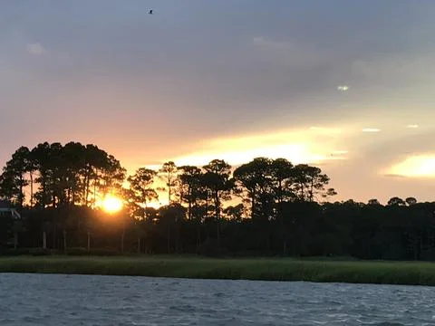 Sunset Behind Trees at Intercoastal Foto stock