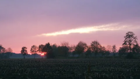 Sunset behind the trees in the Netherlands 스톡 동영상 128579719