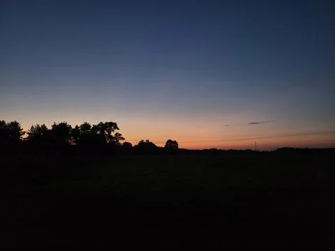Sunset Behind Trees in Open Field Stock Photos