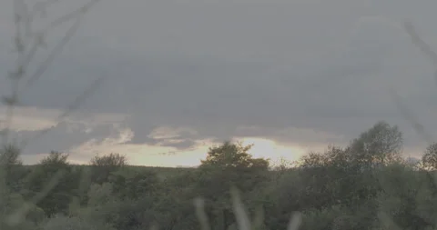 Sunset behind trees, pan to left Stock Footage 150742712