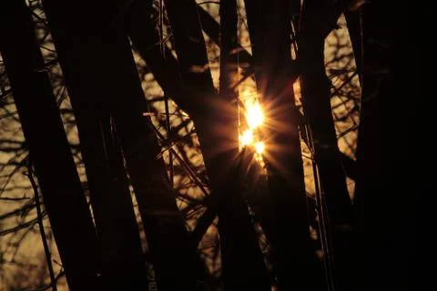 Sunset behind trees Stock Photos