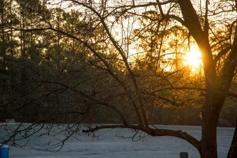 Sunset Behind trees Stock Photos
