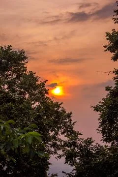 Sunset from behind the trees Stock Photos