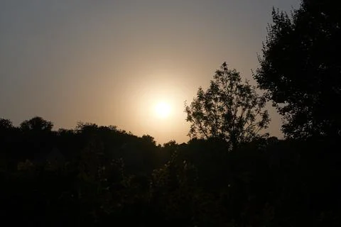 Sunset behind the trees Fotos de archivo