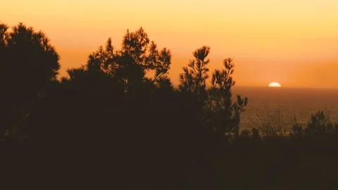 Sunset behind trees in Southern Turkey Antalya Patara Stock Footage 201258077
