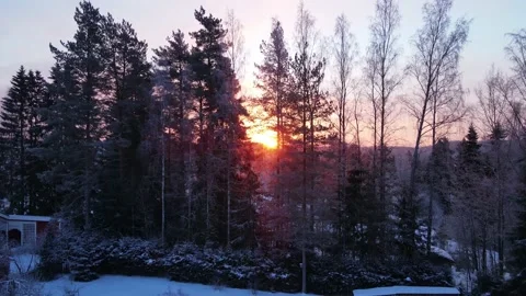 Sunset behind trees in the winter landscape Stock-Footage 171258693