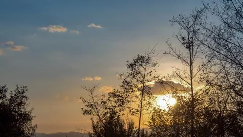 Sunset behind typical native bush of the plateau at the Andean mountains of c Stock Photos