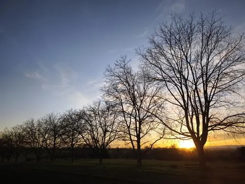 Sunset behind the walnut rowe Stock Photos