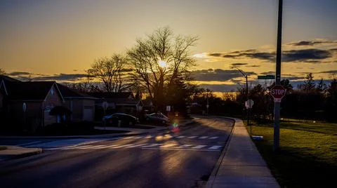Sunset beside tree Stock Photos