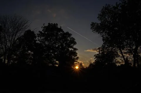 Sunset between the branches of spring trees and sun Stock Photos