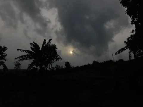 Sunset between dark leaves view from Kappad Beach Kerala India Stock Photos