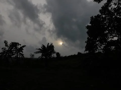 Sunset between dark leaves view from Kappad Beach Kerala India Foto stock