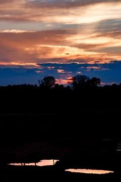 Sunset between eucalyptus trees and two puddles in Piedrabuena Foto stock