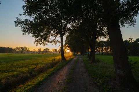 A sunset  between the fields on a forest path in autumn Stock-Fotos