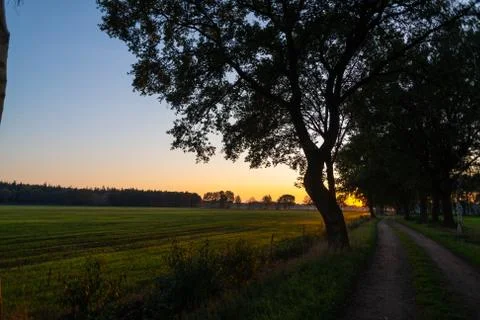 A sunset  between the fields on a forest path in autumn Stock Photos