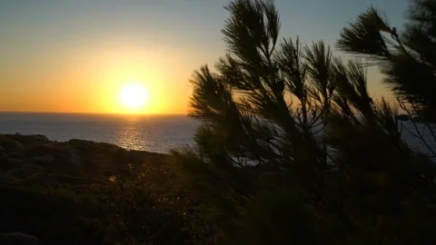 Sunset between the pines in the Mediterranean 動画素材 107421086