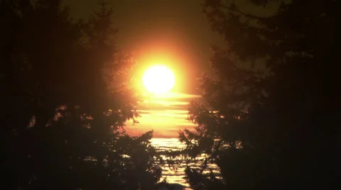 Sunset between the trees and clouds Stock Footage 33419334