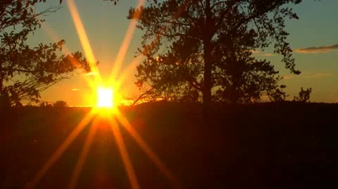 Sunset between the trees Vídeo Stock 22011752