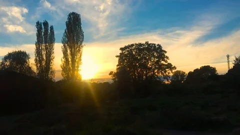 Sunset between the trees Stock Footage 109460298