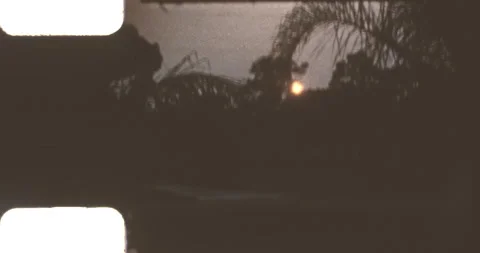 Sunset between trees Stock Footage 224290574