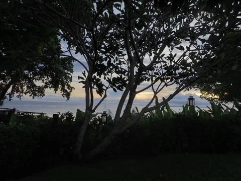 Sunset in between trees in Kokopo Foto stock
