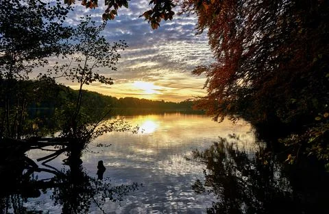 Sunset between the trees at the lake. Germany Foto stock