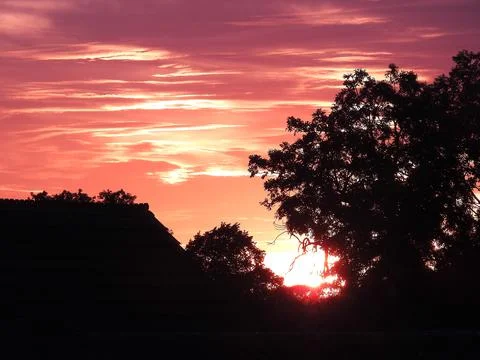 Sunset between the trees in Retford. Stock Photos