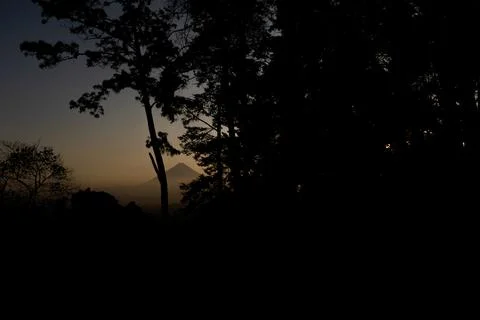 Sunset Between Trees with a View of the Volcano Stock Photos