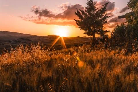 Sunset between the wheat fields on the Madonie Park in Sicily Stock Photos