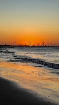 Sunset between windswept winds Stock Photos