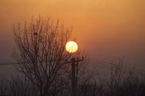 Sunset Beyond The Trees In Beijing China Foto stock