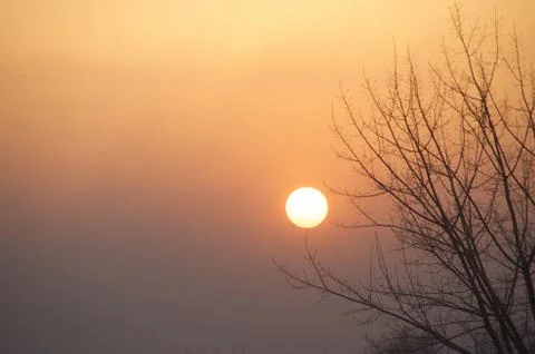Sunset Beyond The Trees In Beijing, China Stock Photos