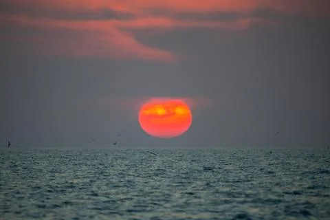 Sunset. Big sun on horizon. Stock Photos