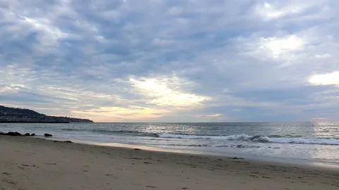 Sunset with a bird on the beach Video stock 82432416