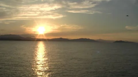 Sunset with bird Vidéo 8840808