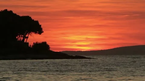 Sunset bird passing Stock Footage 10855249