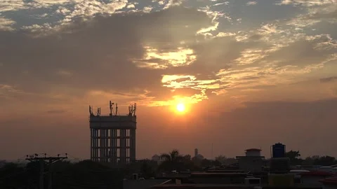 Sunset Bird Slow Motion Stock Footage 255309380