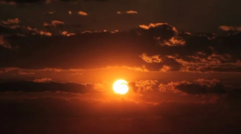 Sunset with Birds - Flock of birds against the sky. Stock Footage