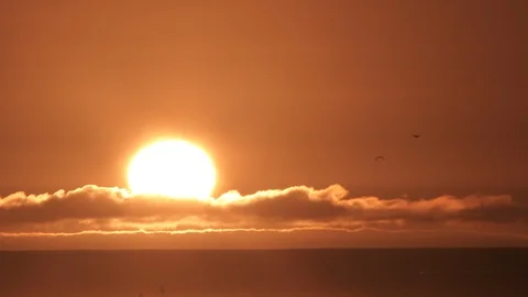 Sunset Birds Fly Warm Sky Over Ocean Horizon Stock Footage 126944725
