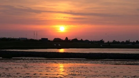 Sunset with birds flying Stock-Footage 113330528