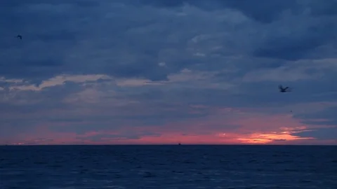 Sunset with birds flying over the beach Stock Footage 82432382