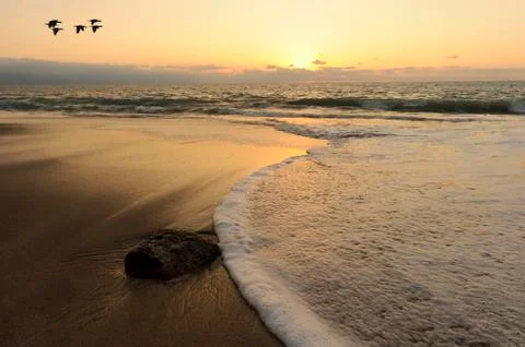 Sunset Birds Flying Stock Photos