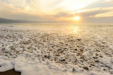 Sunset Birds Flying Stock Photos