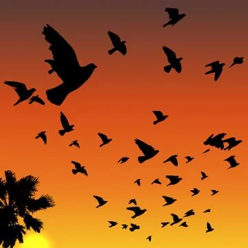 Sunset birds silhouettes Stock Illustration