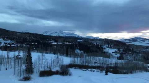 Sunset blue Snow Pine Tree Video stock 156941802